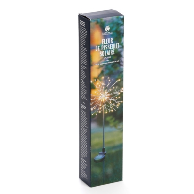 Fleur pissenlit solaire Nature & Découverte