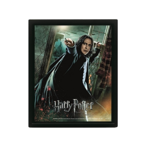 Cadre Severus Rogue - Harry Potter
