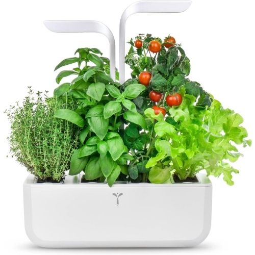Potager d'intérieur CLASSIC