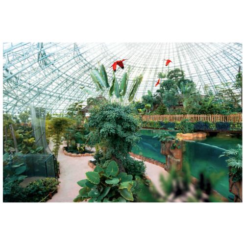 ZooParc de Beauval - Séjour 2 jours et 1 nuit pour 2 - Wonderbox