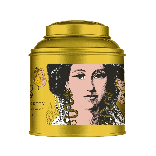 Boîte dôme de Noël