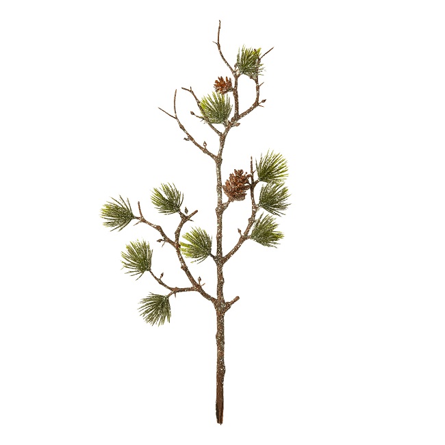 Tekokasvi - Kuusenoksa, jossa on käpyjä