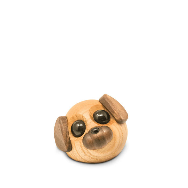 Molly - Den lille Hund