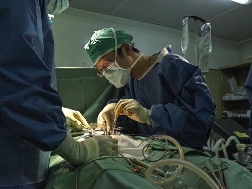 Medici Senza Frontiere: set di suture nelle operazioni di emergenza di MSF