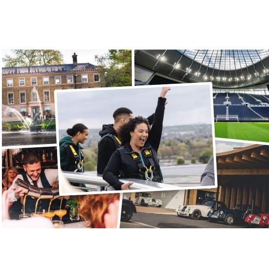 The Amber Collection