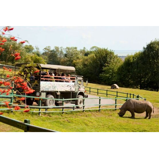 Nature Reserve Safari & Sunday Roast For 2